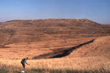 Tall al-'Umayri