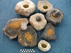 Basalt milling stones and limestone mortars used in food preparation