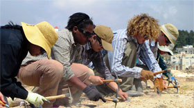 Pick and trowel practice line