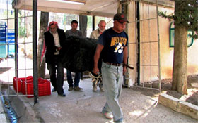 Carrying main part of the tent at ATC