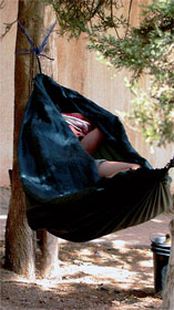 Anita taking her afternnon nap