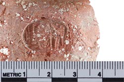 Stamped jar handle with cartouche of Pharaoh Thutmose III